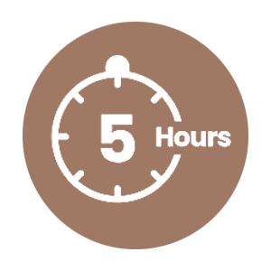 5 Hours Icon